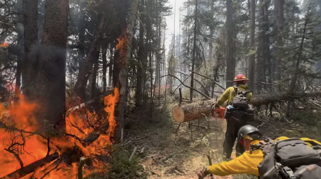 Bridger-Teton National Forest Fire Updates