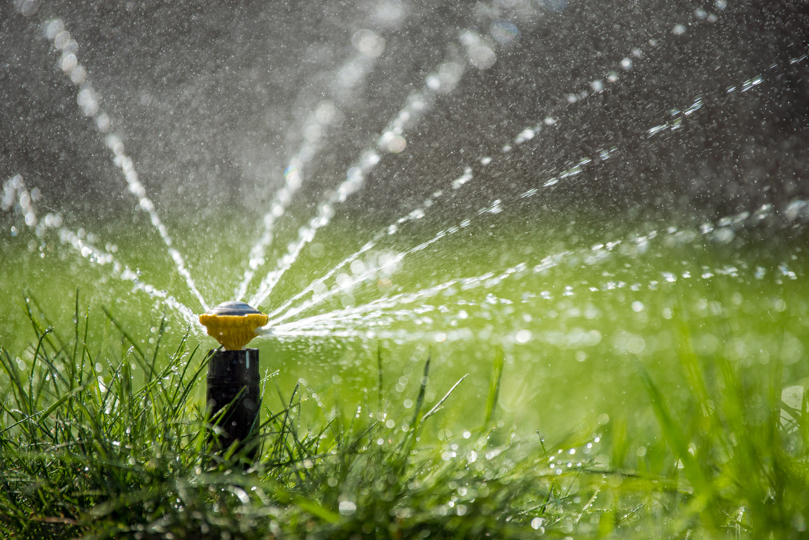 Town of Alpine Requests Temporary Pause on Irrigation During Well Repairs