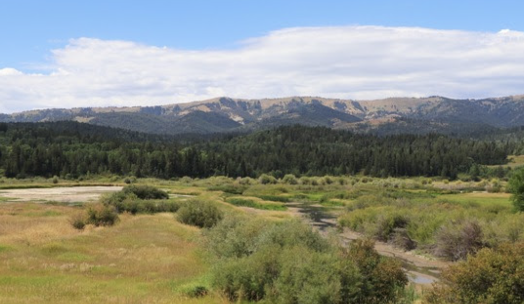 Game and Fish to begin Alpine Wetlands restoration project this fall