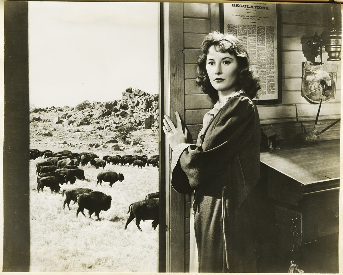 The West is Waiting: An Exploration of Railroad Advertising