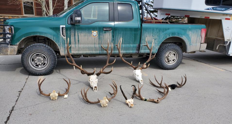 Multi-year investigation of wildlife charges concludes in Lincoln County