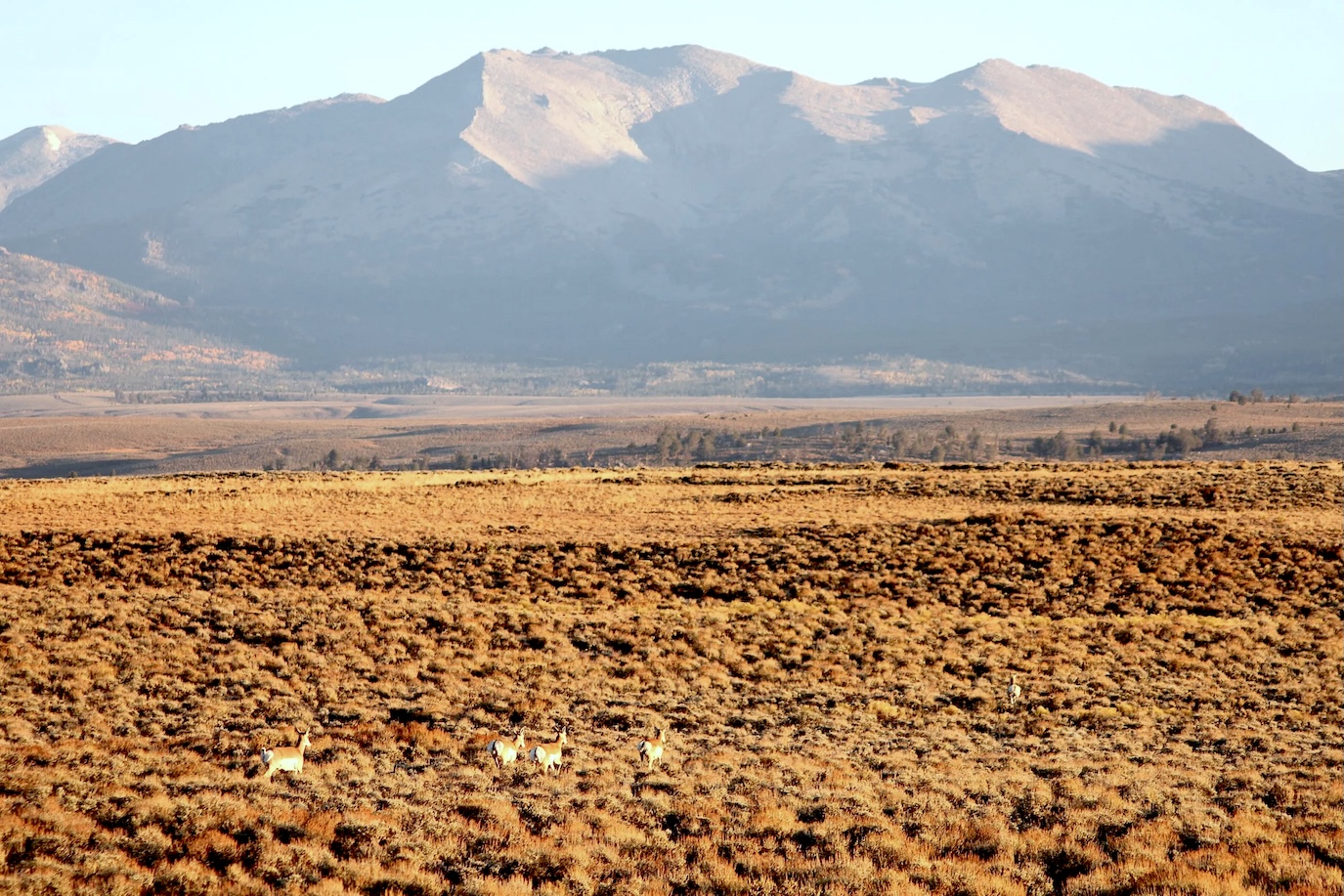 BLM’s heated Rock Springs plan took 12 years to finish. Now the feds must redo it in one.