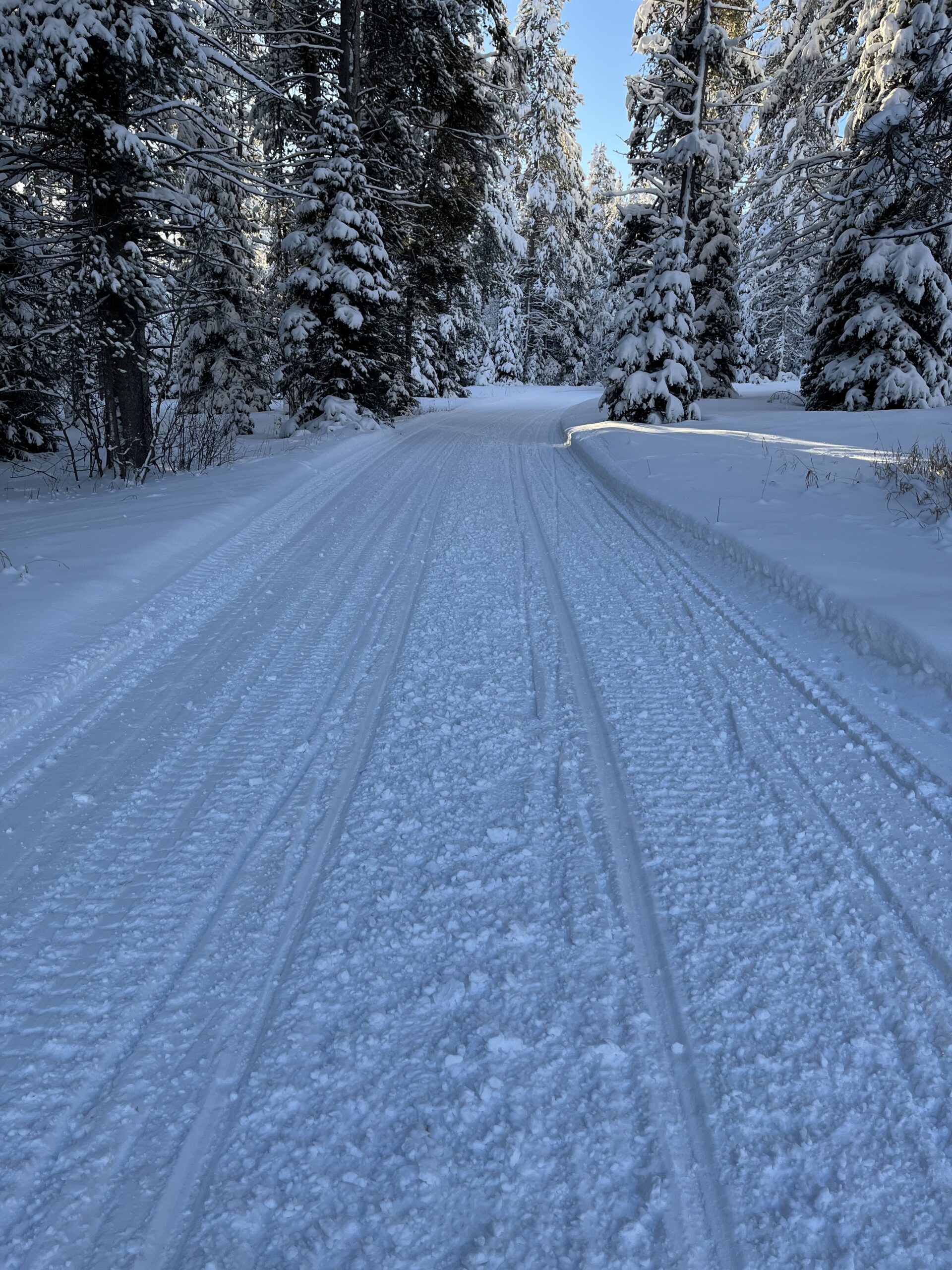 SVI Radio Interview: Tim Haberberger, Greys River Road update