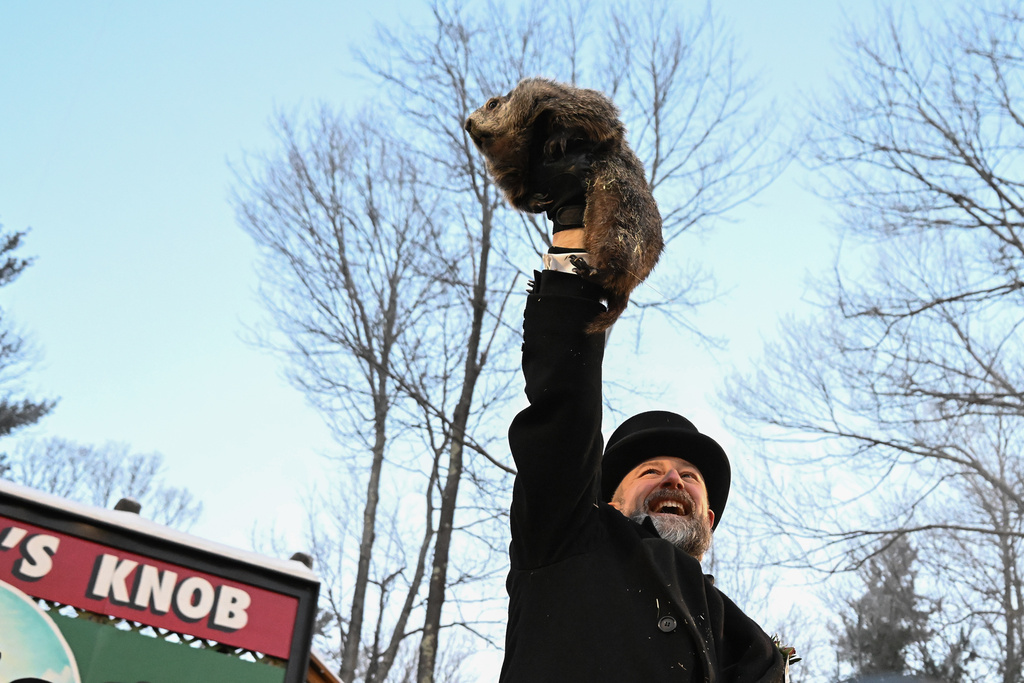 Punxsutawney Phil is said to have seen his shadow, forecasting 6 more weeks of wintry weather