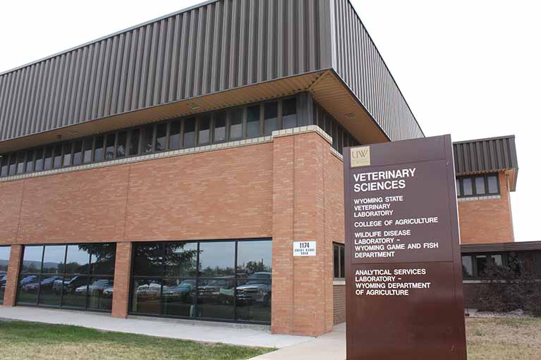 University of Wyoming enrollment down this semester