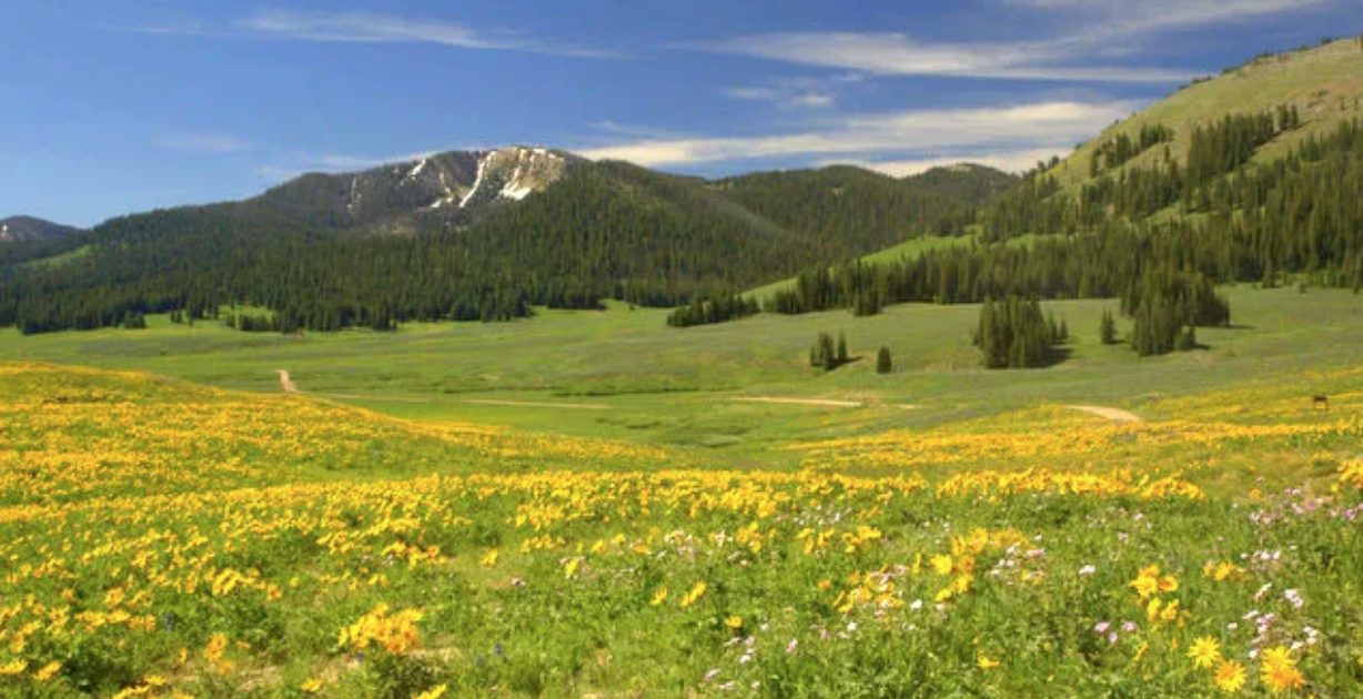 Greys River Collaborative ready for projects in 2026