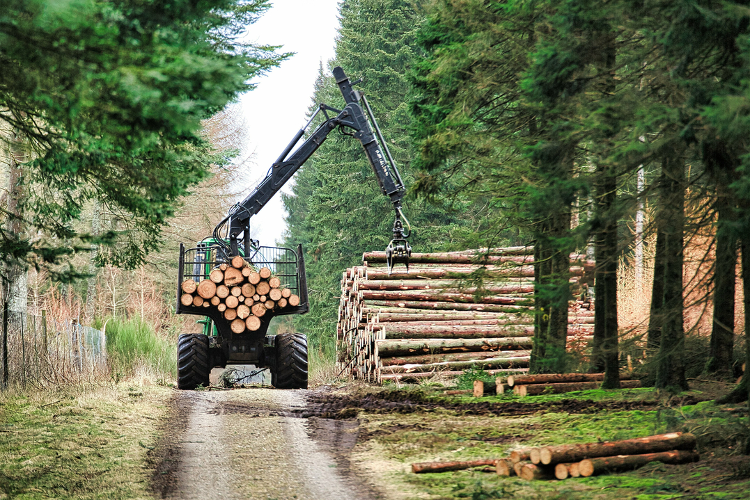 SVI Radio Interview: Adam Caulkins – Increased logging on Bridger-Teton National Forest