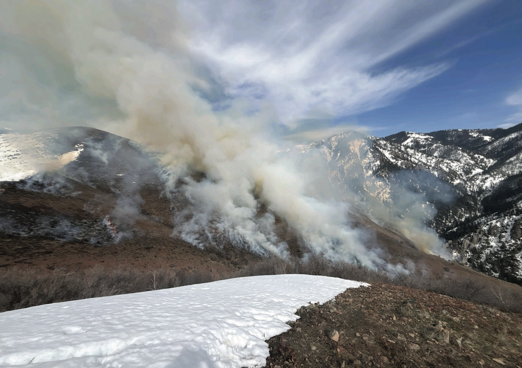 Bridger-Teton National Forest West Zone Plans Prescribed Burning